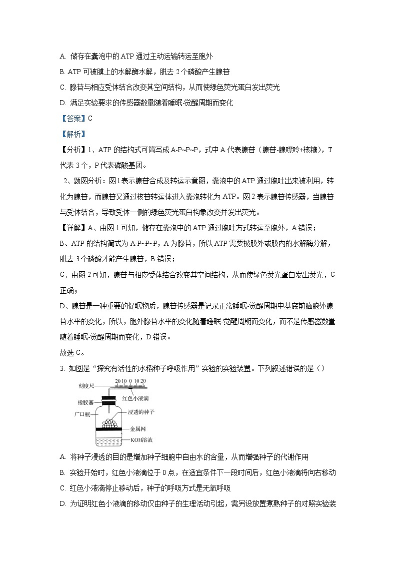 2023年河北省衡水中学高三四调考试 生物 含解析02