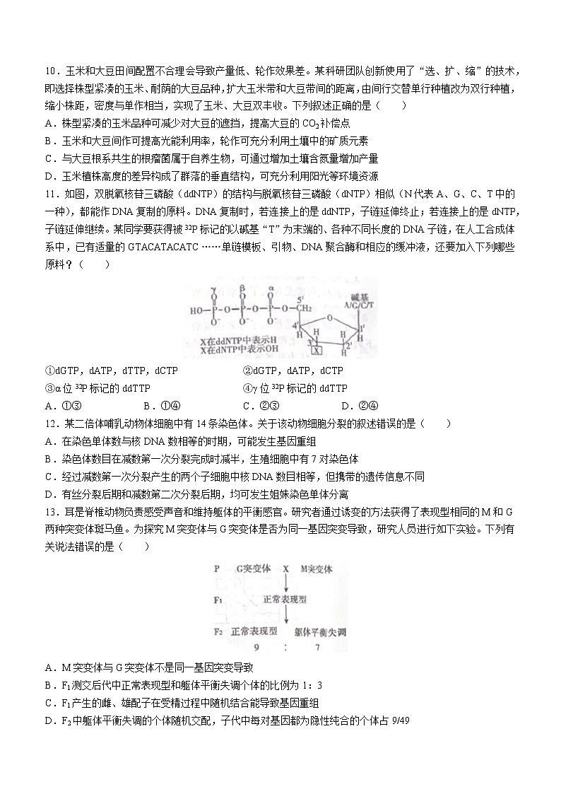2022-2023学年河南省信阳市高中高三第二次质量检测生物试题 （word版）03