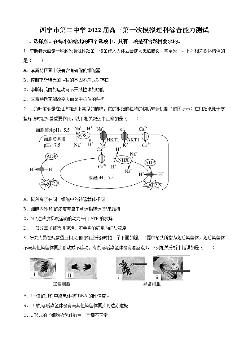 2022届青海省西宁市二中高三第一次模拟考试理综生物试题（解析版）01