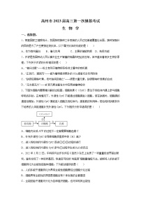 2023届广东省茂名高州市高三第一次模拟考试生物试题（解析版）