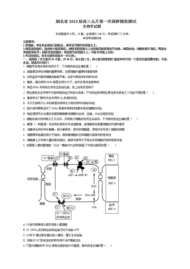 2023届湖北省夷陵中学高三元月第一次调研模拟测试生物试题（解析版）01