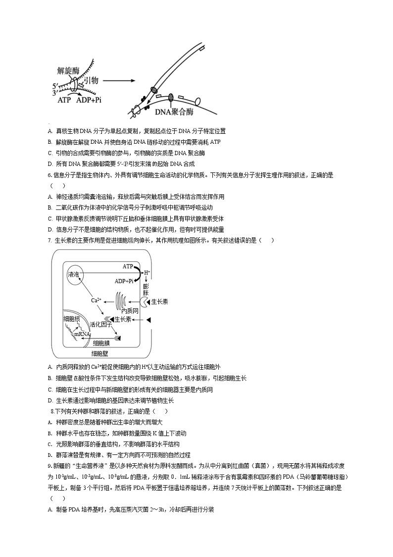 2023届湖北省夷陵中学高三元月第一次调研模拟测试生物试题（解析版）02