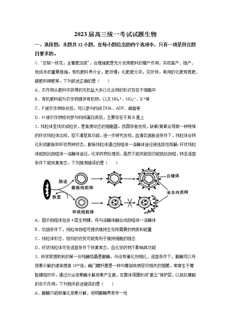 2023届湖南省湘潭市高三二模生物试题（解析版）01