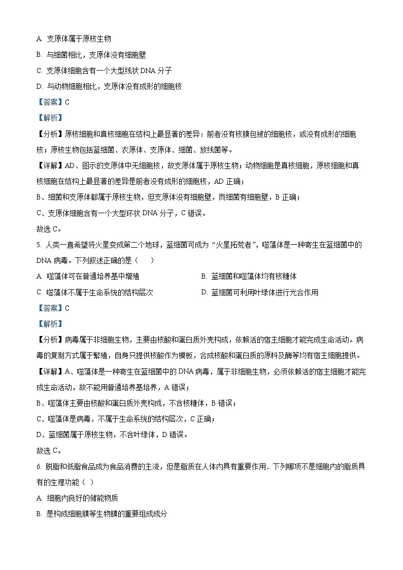 2022—2023学年福建省漳州市高一上学期期末教学质量检测生物试题（解析版）第3页