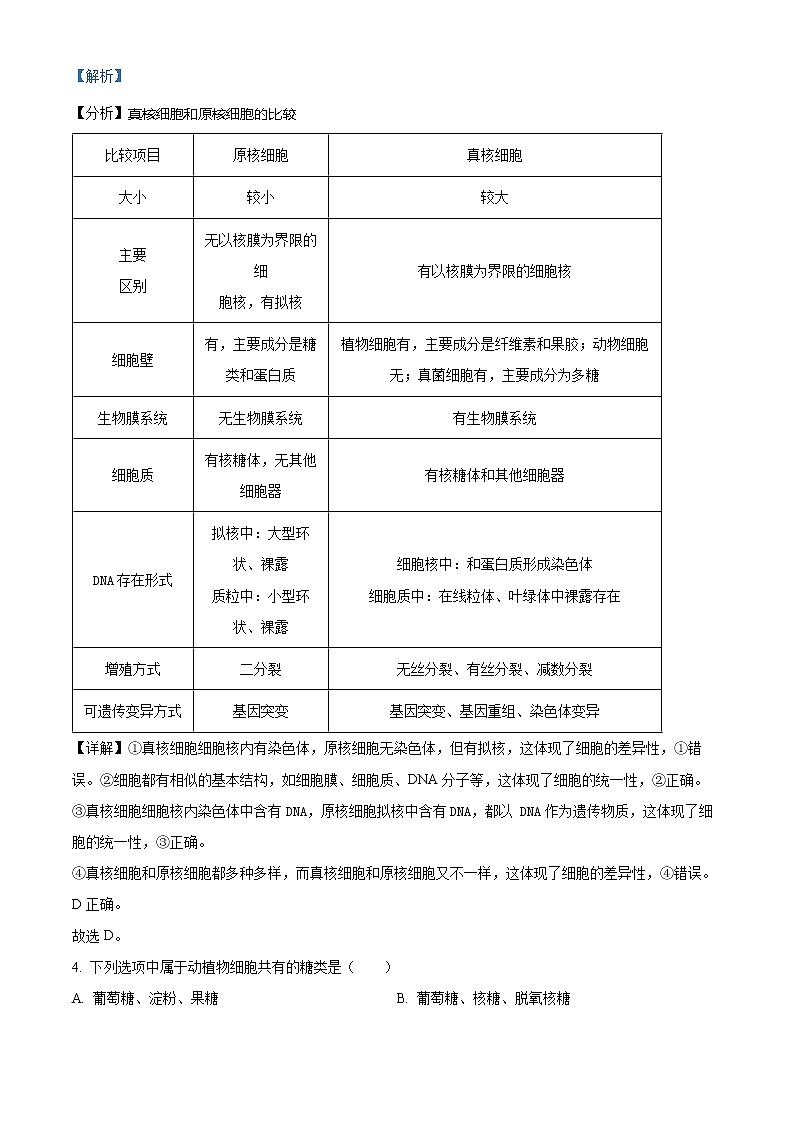 2022-2023学年湖北省武汉市新洲区一中高一上学期期末生物试题（解析版）02