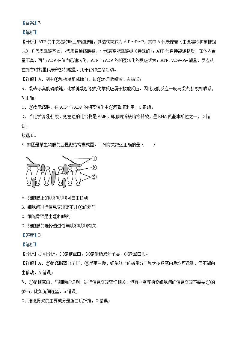 2022-2023学年吉林省通化市梅河口市五中高一上学期期末生物试题（解析版）02