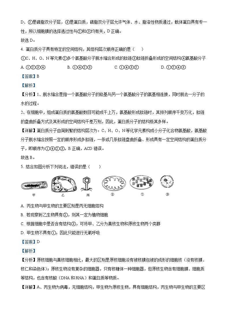 2022-2023学年吉林省通化市梅河口市五中高一上学期期末生物试题（解析版）03