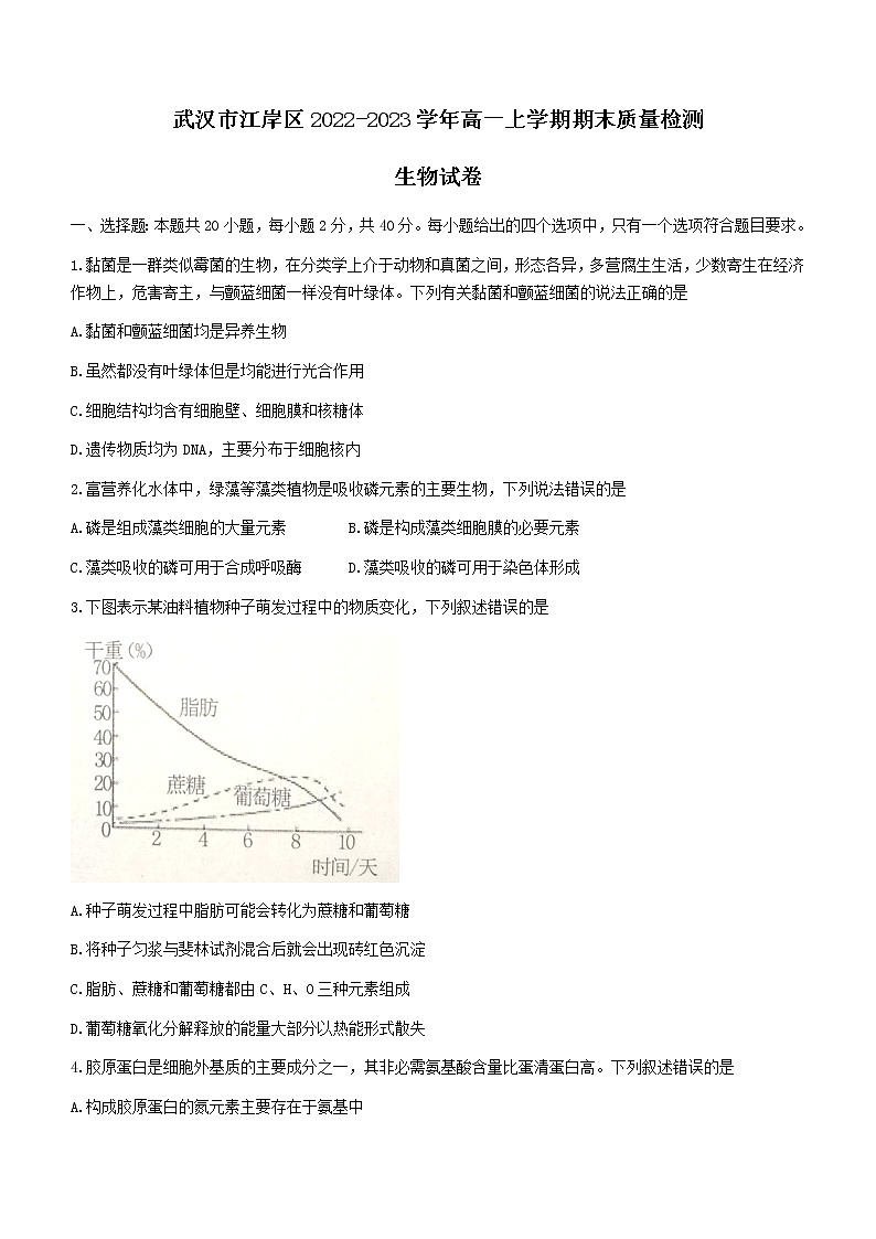 2022-2023学年湖北省武汉市江岸区高一上学期期末质量检测生物学试题（Word版含答案）01