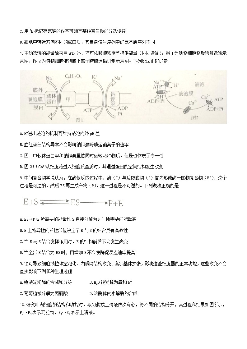 2022-2023学年湖北省武汉市江岸区高一上学期期末质量检测生物学试题（Word版含答案）03