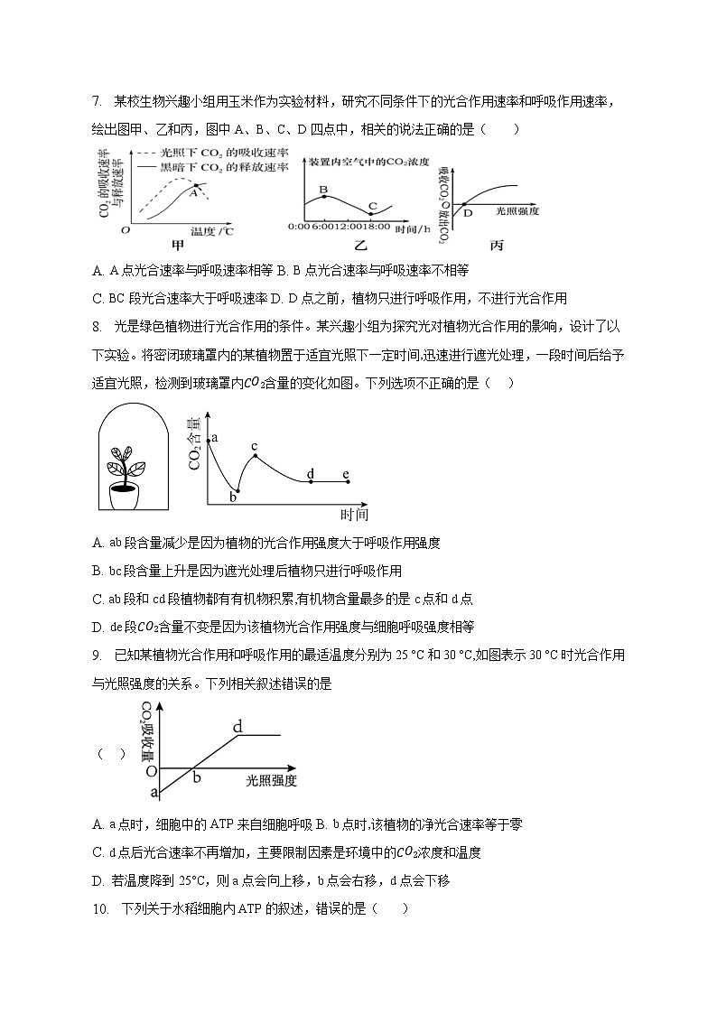 2022-2023学年广西钦州市第四中学高一上学期期末综合训练生物试卷（五）03