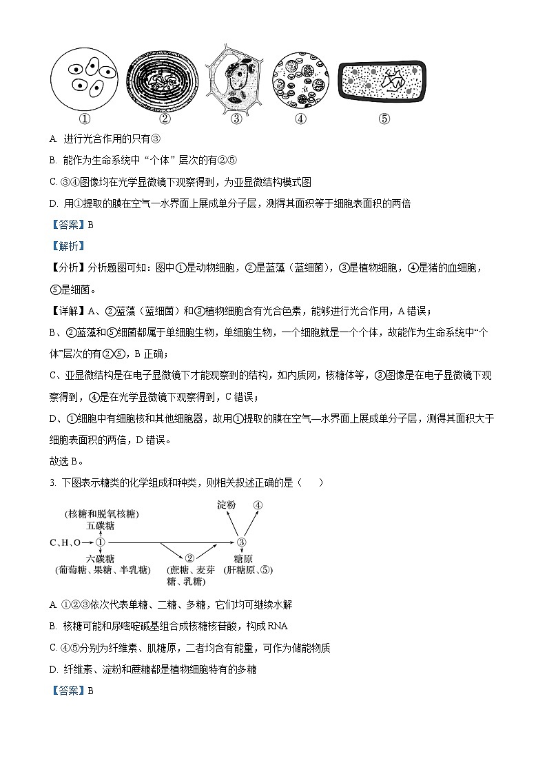 2022-2023学年湖南省常德市临澧县一中高一上学期期末生物试题（解析版）02