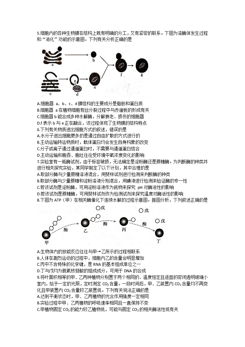 山西省太原市2022-2023学年高三上学期期末测试生物试题第2页