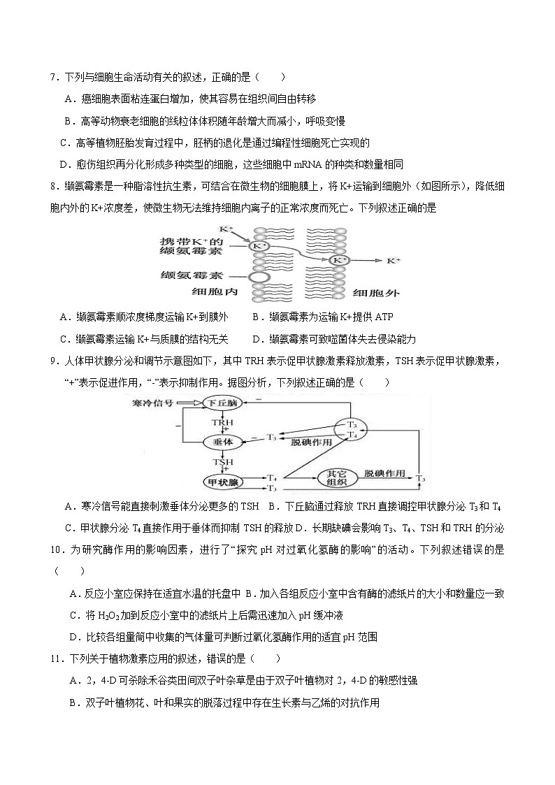2023宁波北仑中学高二下学期开学考试生物含答案02