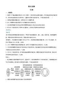2022-2023学年山东省临沂市一中高一上学期期末自测生物试题（解析版）