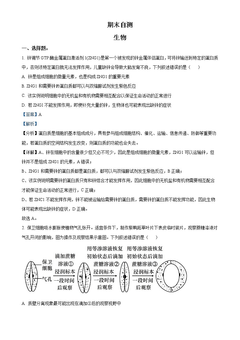 2022-2023学年山东省临沂市一中高一上学期期末自测生物试题（解析版）01