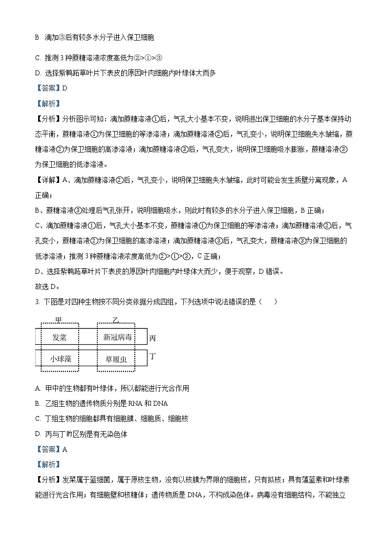 2022-2023学年山东省临沂市一中高一上学期期末自测生物试题（解析版）02