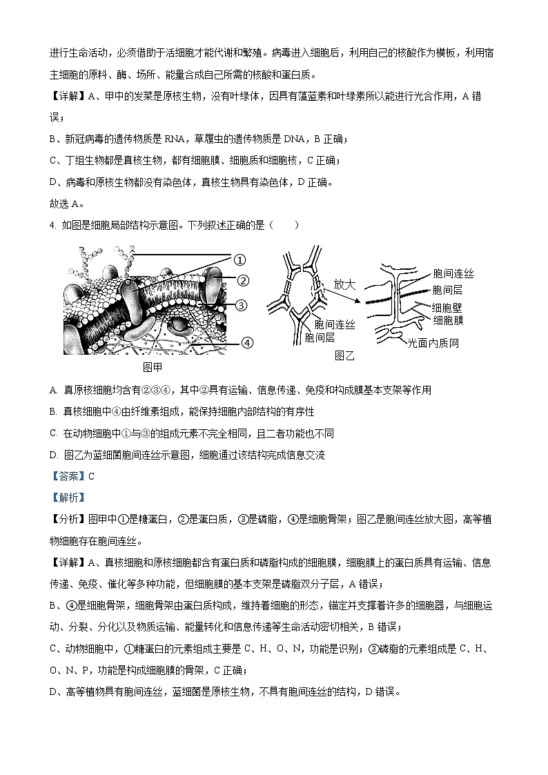 2022-2023学年山东省临沂市一中高一上学期期末自测生物试题（解析版）03