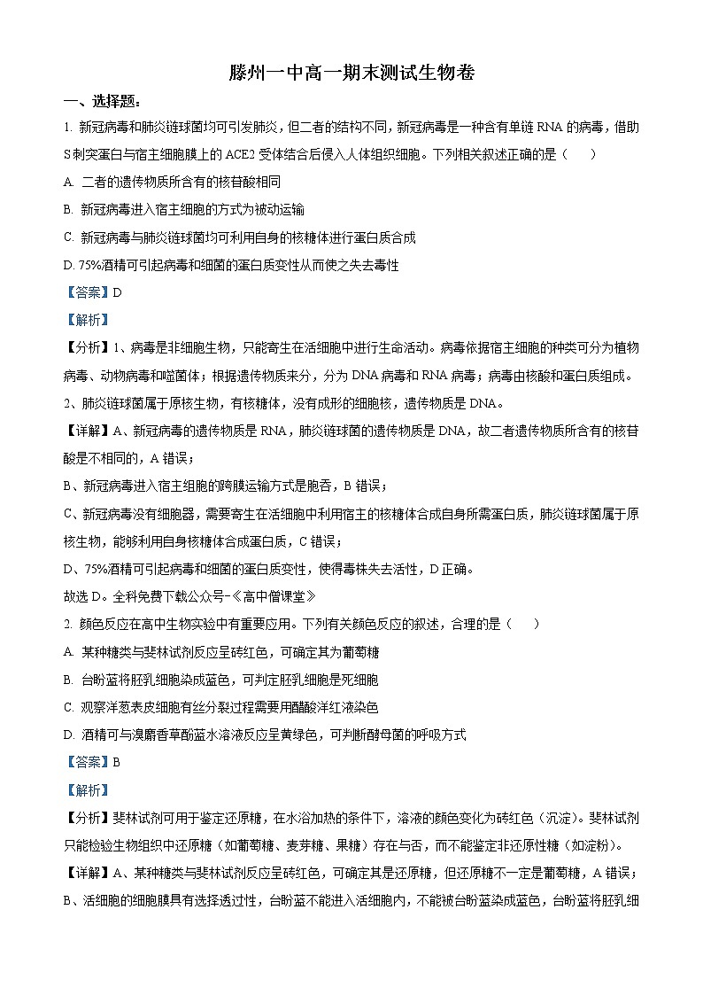 2022-2023学年山东省滕州市第一中学高一上学期期末考试 生物第1页