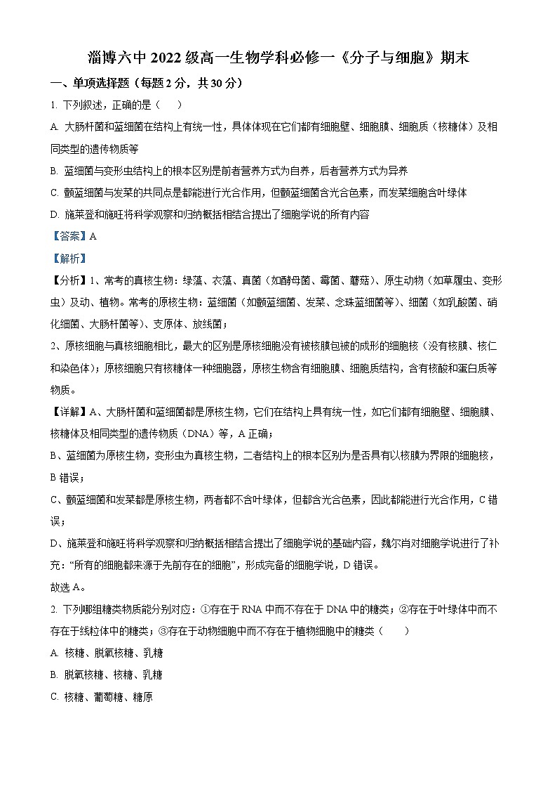 2022-2023学年山东省淄博市六中高一上学期期末生物试题（解析版）第1页