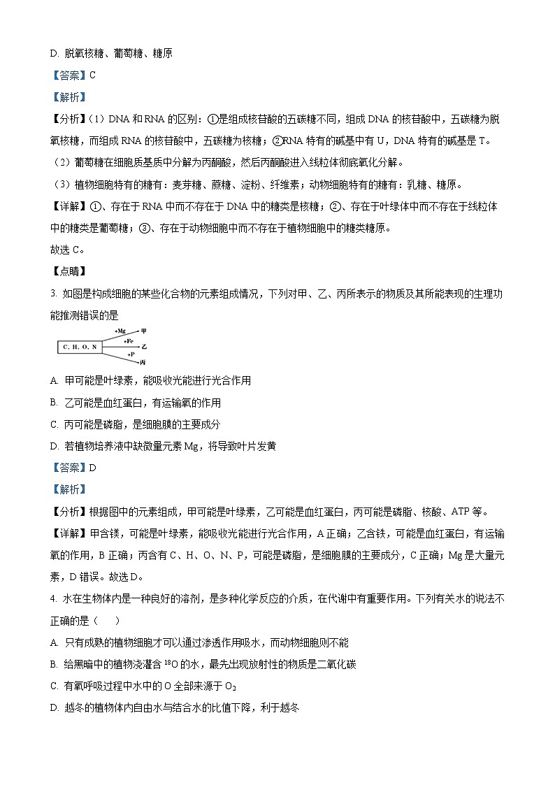 2022-2023学年山东省淄博市六中高一上学期期末生物试题（解析版）第2页
