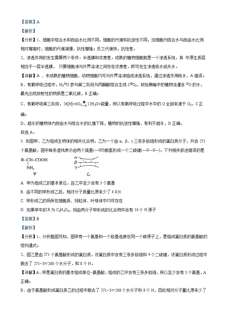 2022-2023学年山东省淄博市六中高一上学期期末生物试题（解析版）第3页