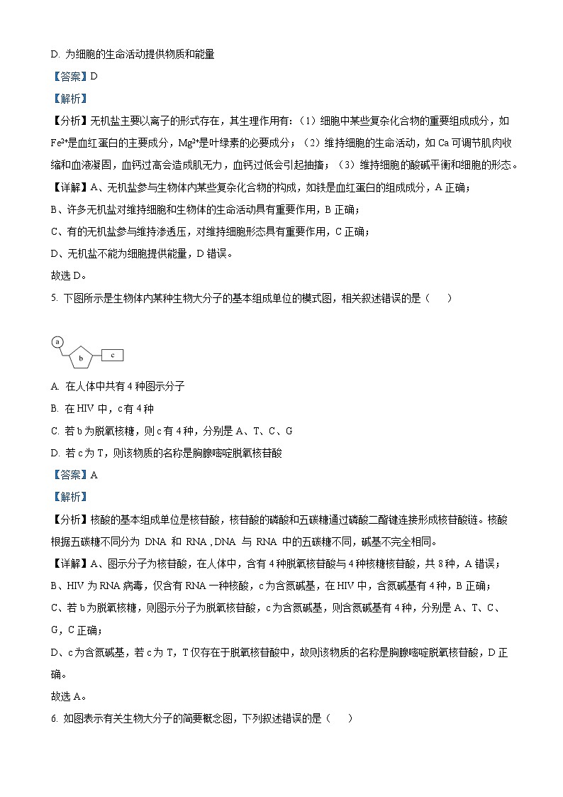 2022-2023学年山东师范大学附属中学高一上学期期末生物试题（解析版）第3页