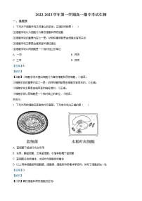 2022-2023学年山西省大同市一中高一上学期期中生物试题（解析版）