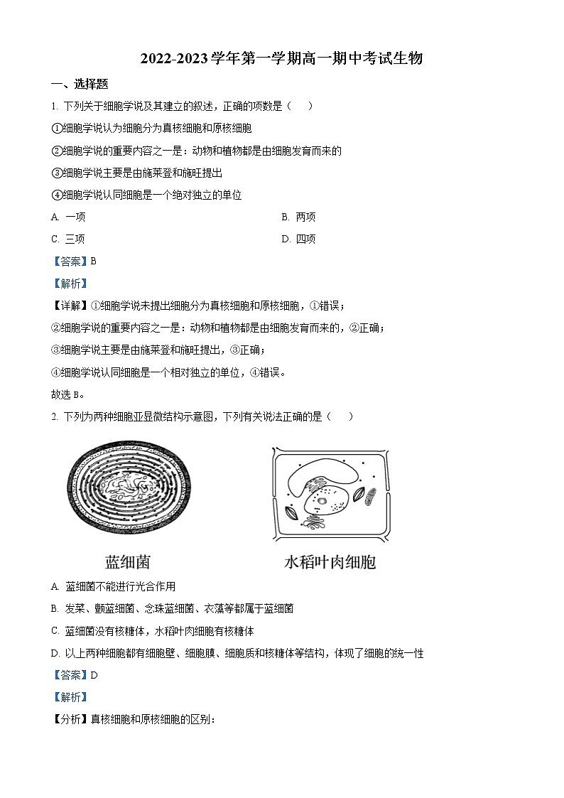 2022-2023学年山西省大同市一中高一上学期期中生物试题（解析版）01