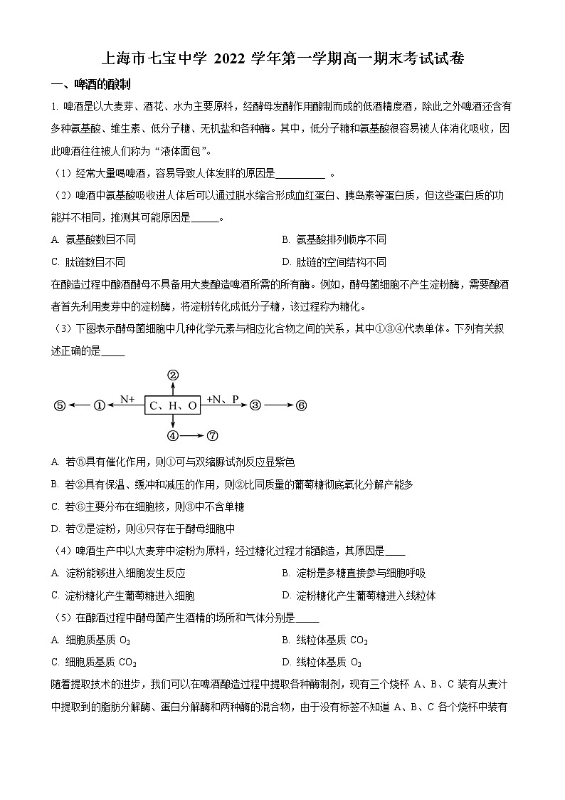 2022-2023学年上海市七宝中学高一上学期期末生物试题（解析版）第1页