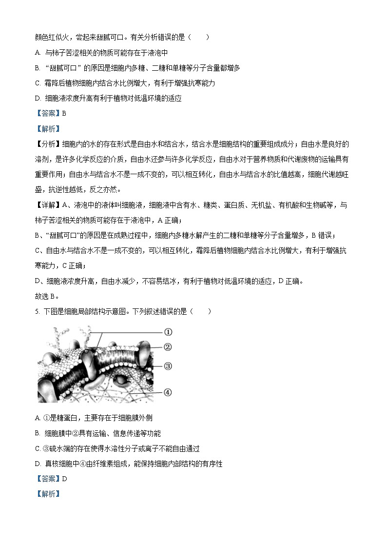 2022-2023学年四川省眉山市彭山区一中高一上学期期末生物试题（解析版）03