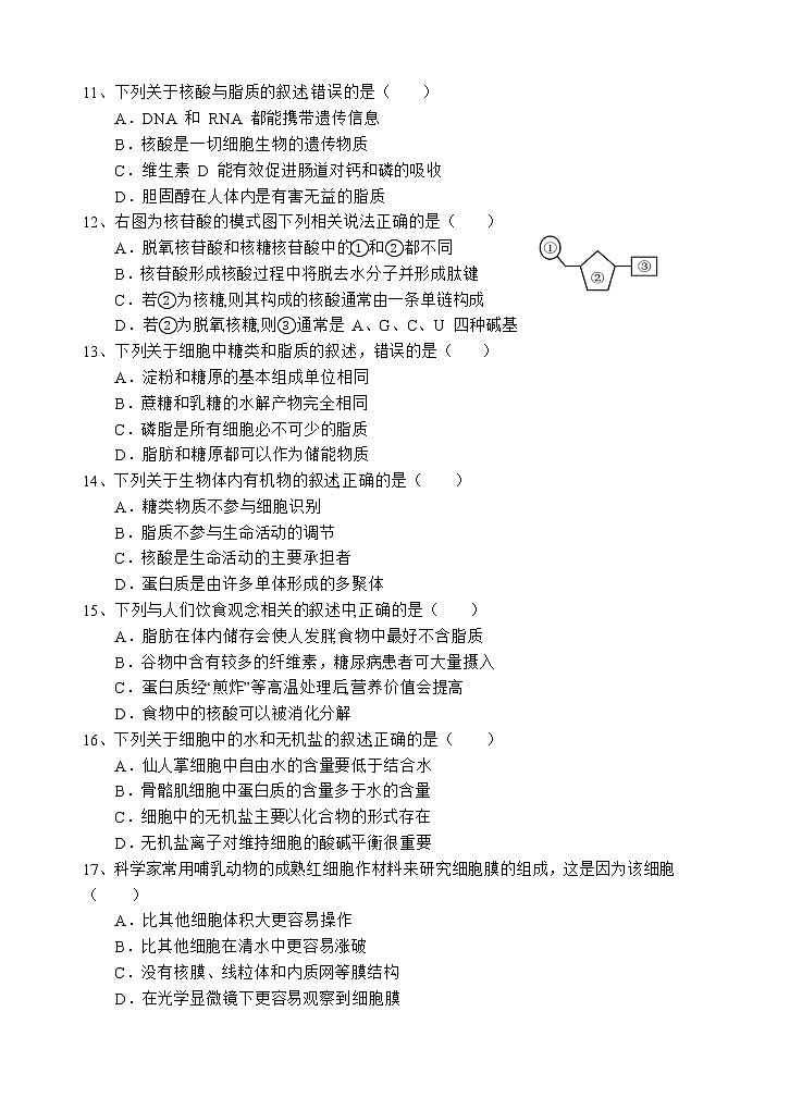 2022-2023学年四川省射洪中学高一上学期1月月考试题 生物第3页