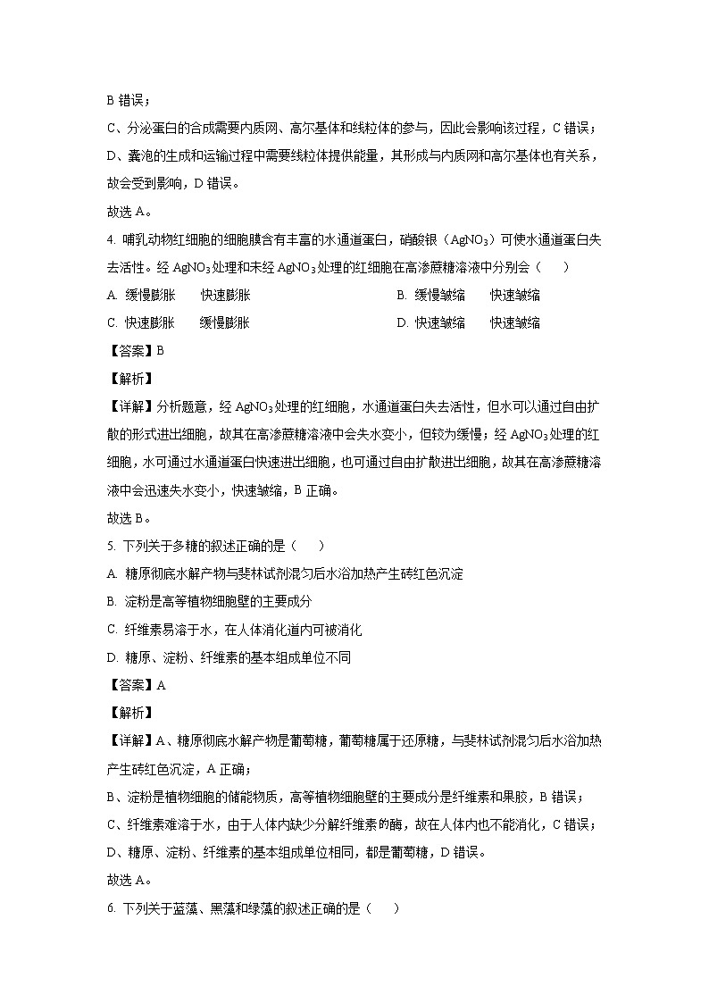 2022-2023学年浙江省宁波市九校高一上学期1月期末联考生物试卷02