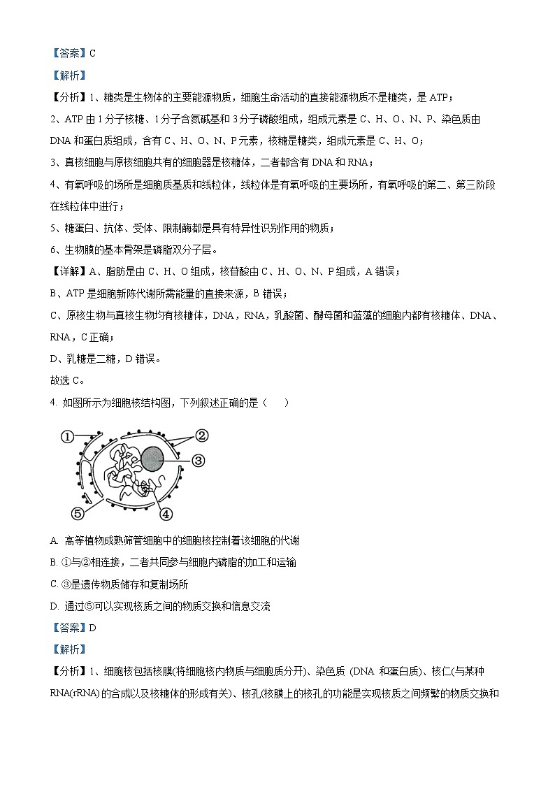 2022-2023学年浙江省宁波市效实中学高一上学期期中考试 生物第2页