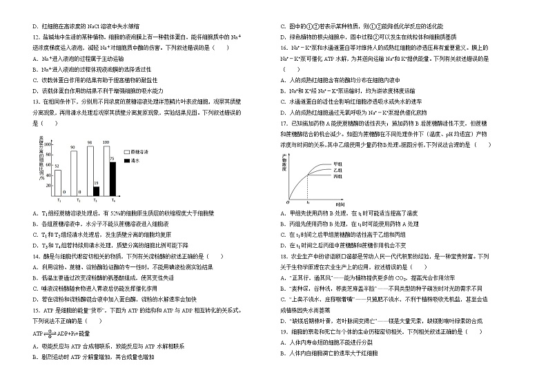 2022-2023学年重庆市沙坪坝区重庆第八中学高一上学期期末复习（二）生物试题第2页