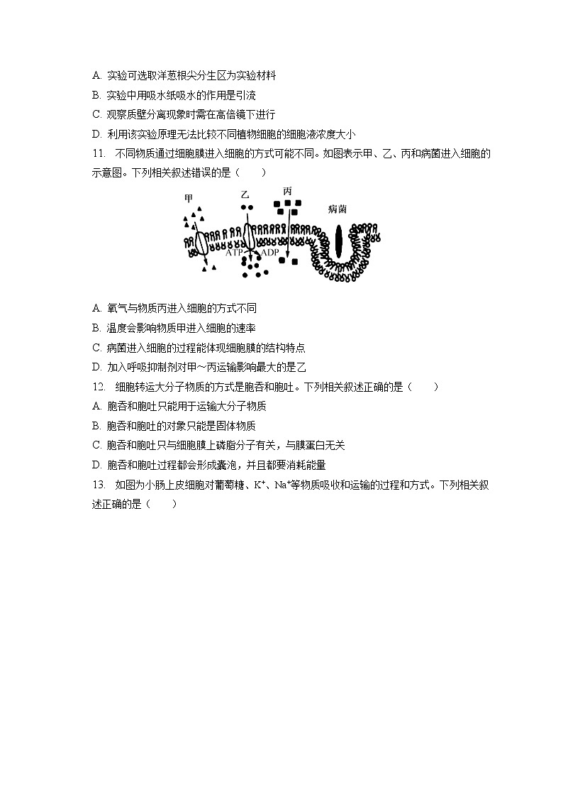 2022-2023学年安徽省皖南十校高一（上）期末生物试卷（含答案解析）03