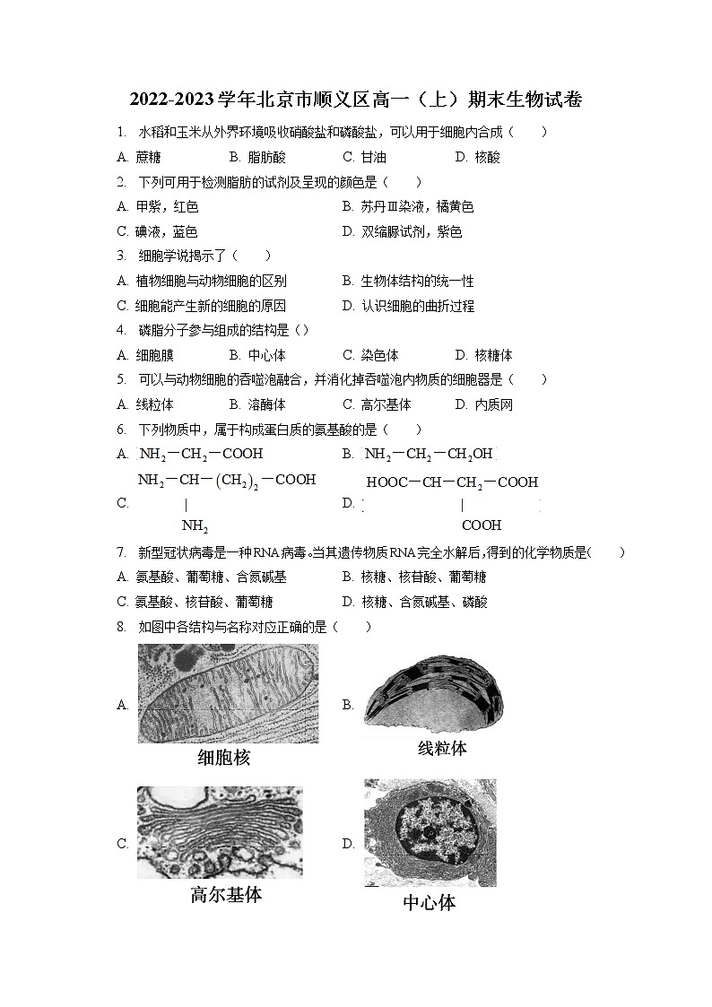 2022-2023学年北京市顺义区高一（上）期末生物试卷（含答案解析）01