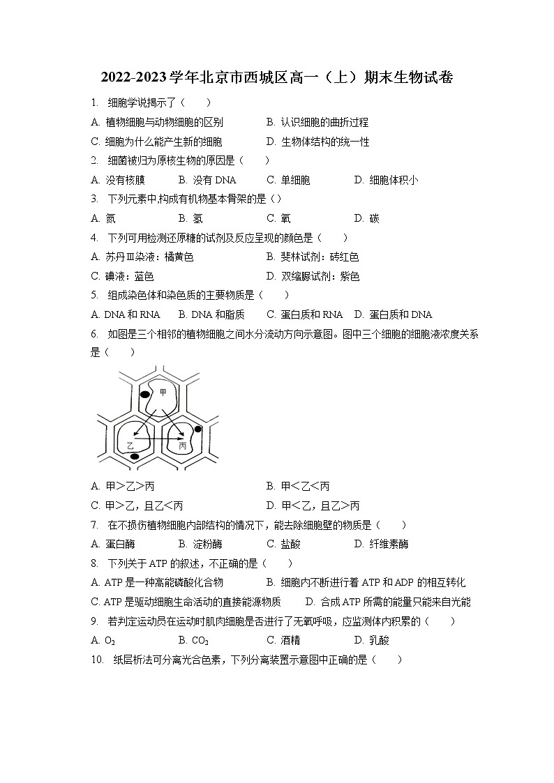 2022-2023学年北京市西城区高一（上）期末生物试卷（含答案解析）01