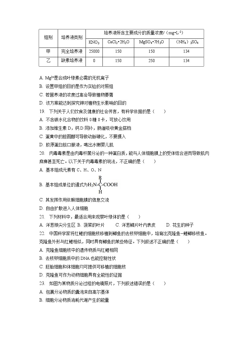 2022-2023学年北京市西城区高一（上）期末生物试卷（含答案解析）03
