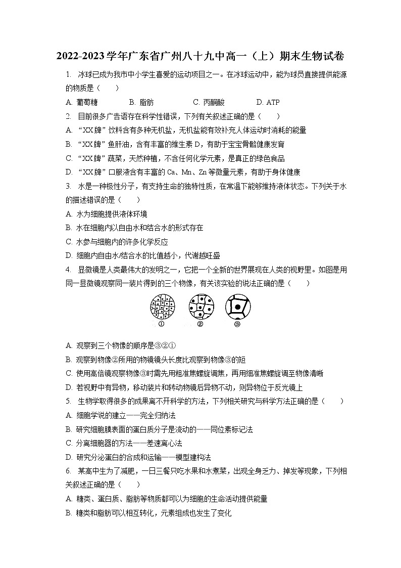 2022-2023学年广东省广州八十九中高一（上）期末生物试卷（含答案解析）01