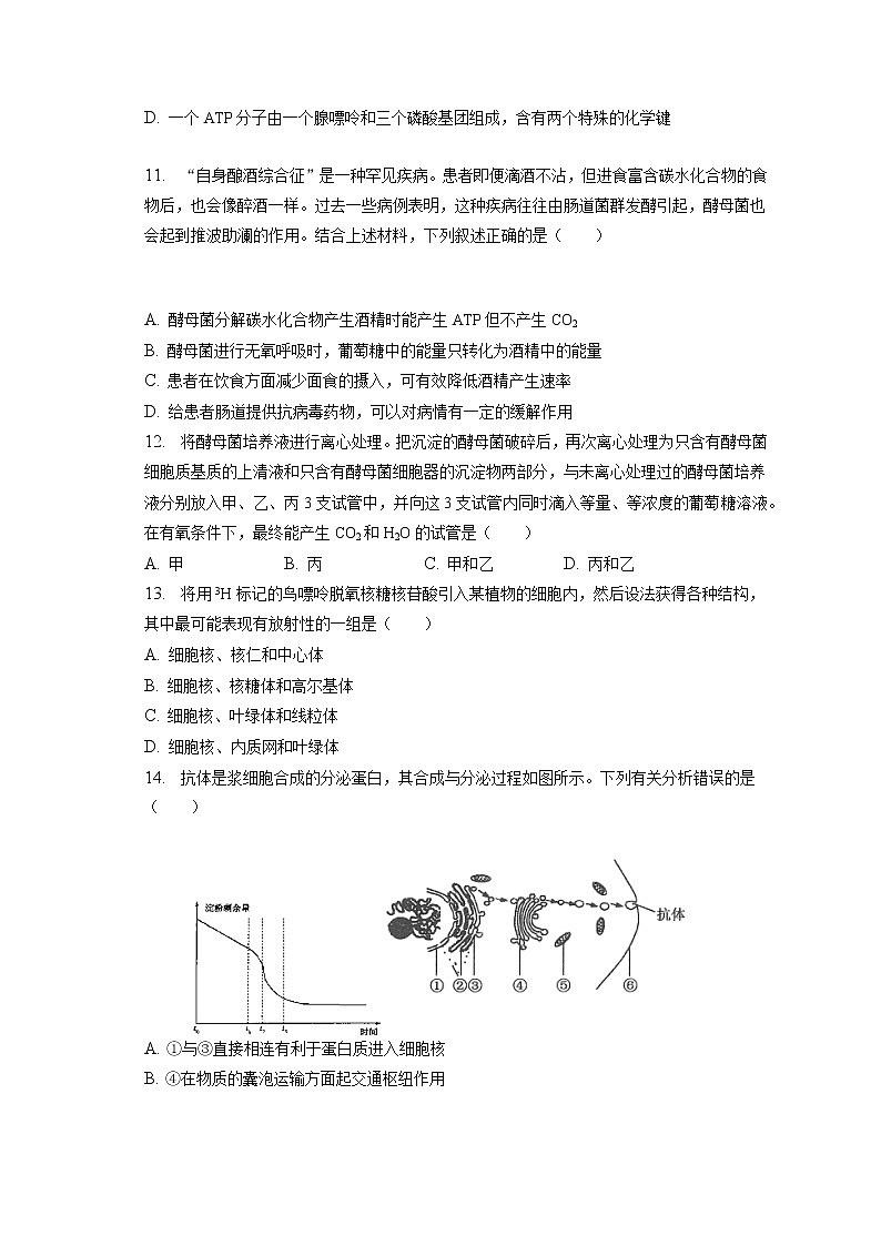 2022-2023学年广东省广州八十九中高一（上）期末生物试卷（含答案解析）03