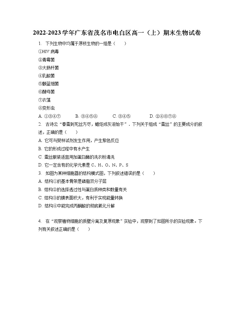 2022-2023学年广东省茂名市电白区高一（上）期末生物试卷（含答案解析）01