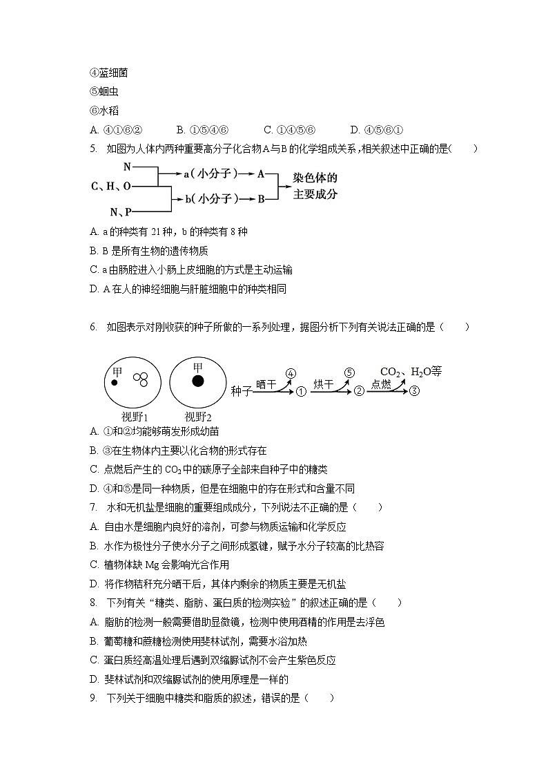 2022-2023学年河北省石家庄二中高一（上）期末生物试卷（含答案解析）02