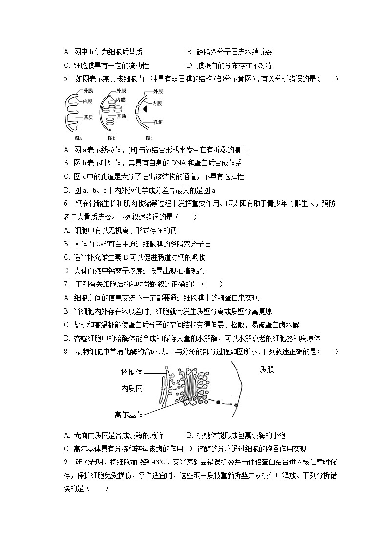 2022-2023学年湖北省荆州市沙市中学高一（上）期末生物试卷（含答案解析）02