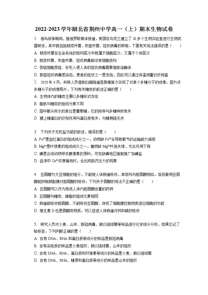 2022-2023学年湖北省荆州中学高一（上）期末生物试卷（含答案解析）01