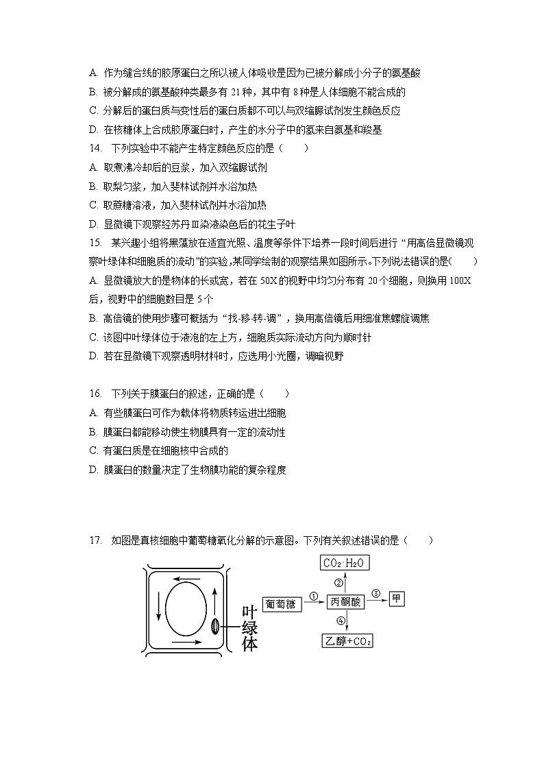2022-2023学年湖南省衡阳市衡阳五中高一（上）期末生物试卷（含答案解析）03