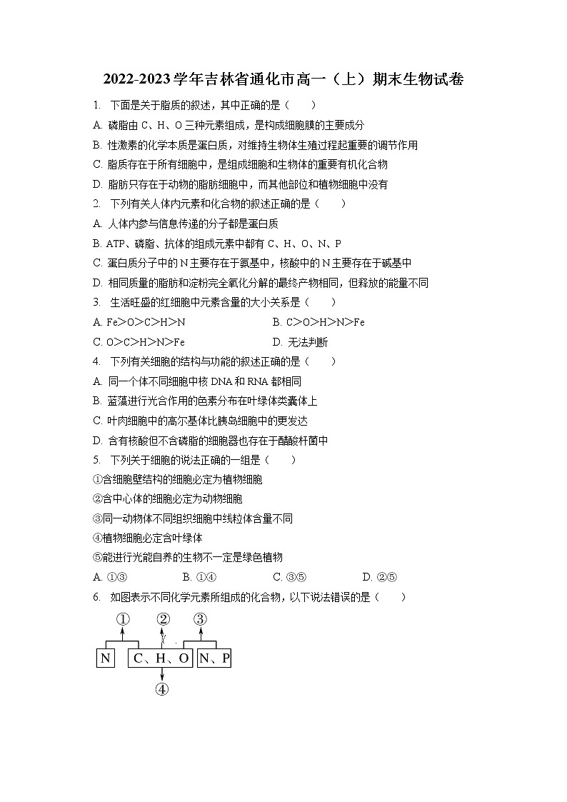 2022-2023学年吉林省通化市高一（上）期末生物试卷（含答案解析）第1页