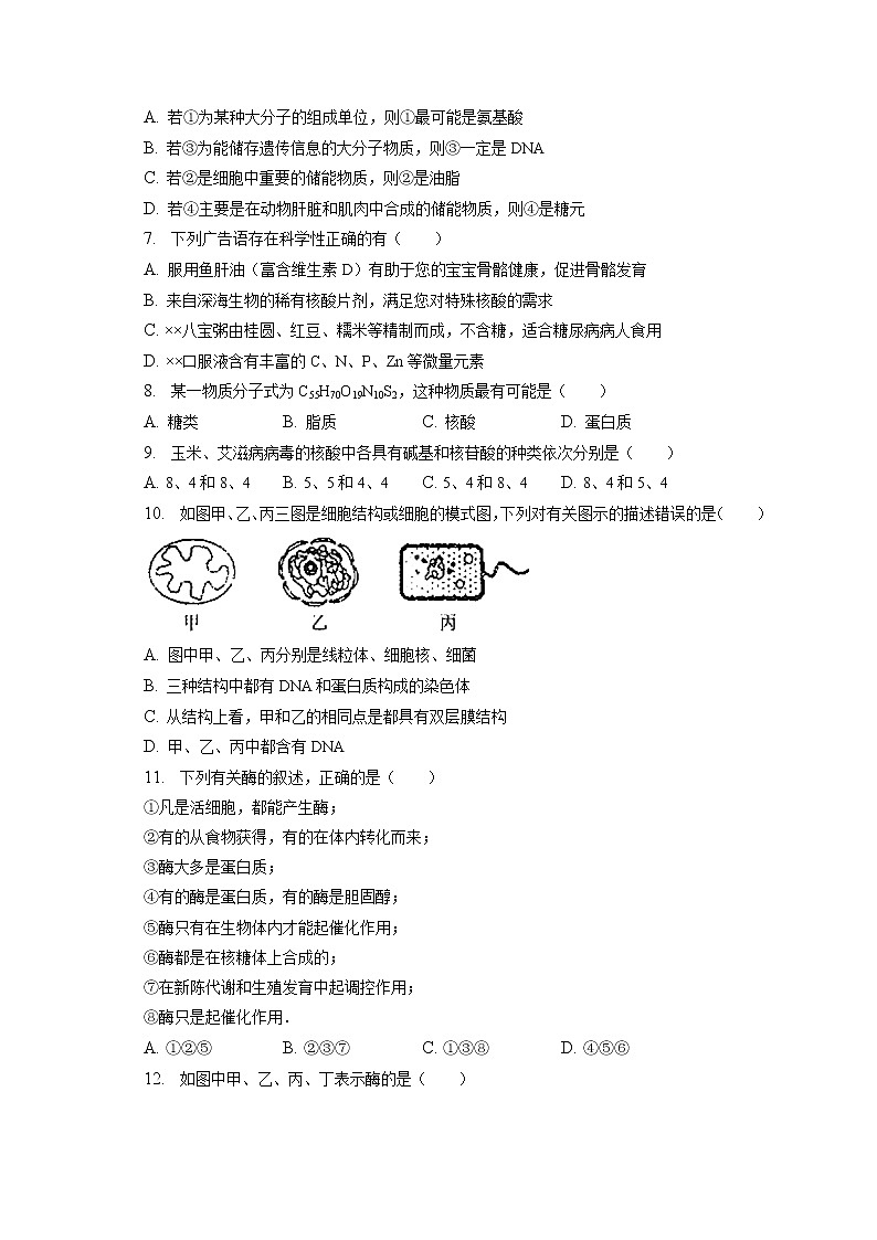 2022-2023学年吉林省通化市高一（上）期末生物试卷（含答案解析）第2页