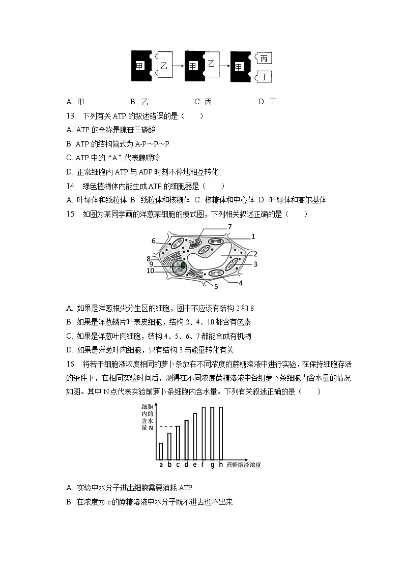2022-2023学年吉林省通化市高一（上）期末生物试卷（含答案解析）第3页