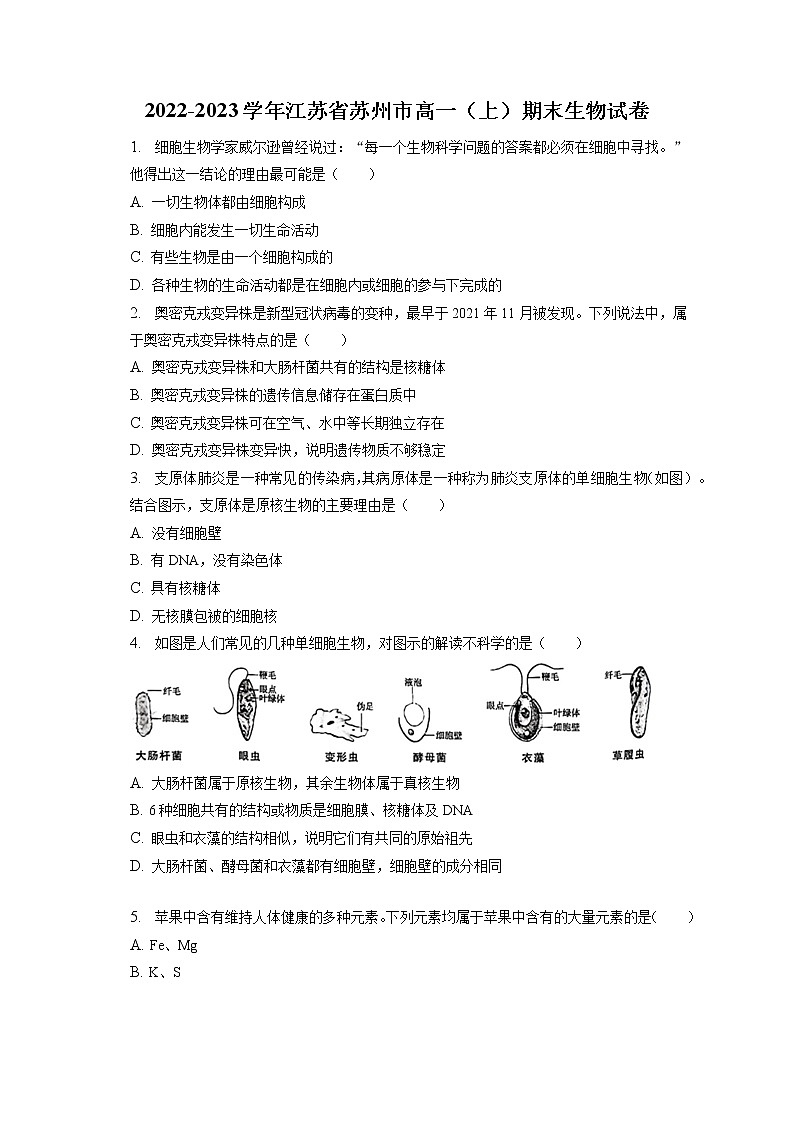 2022-2023学年江苏省苏州市高一（上）期末生物试卷-普通用卷（含答案解析）第1页