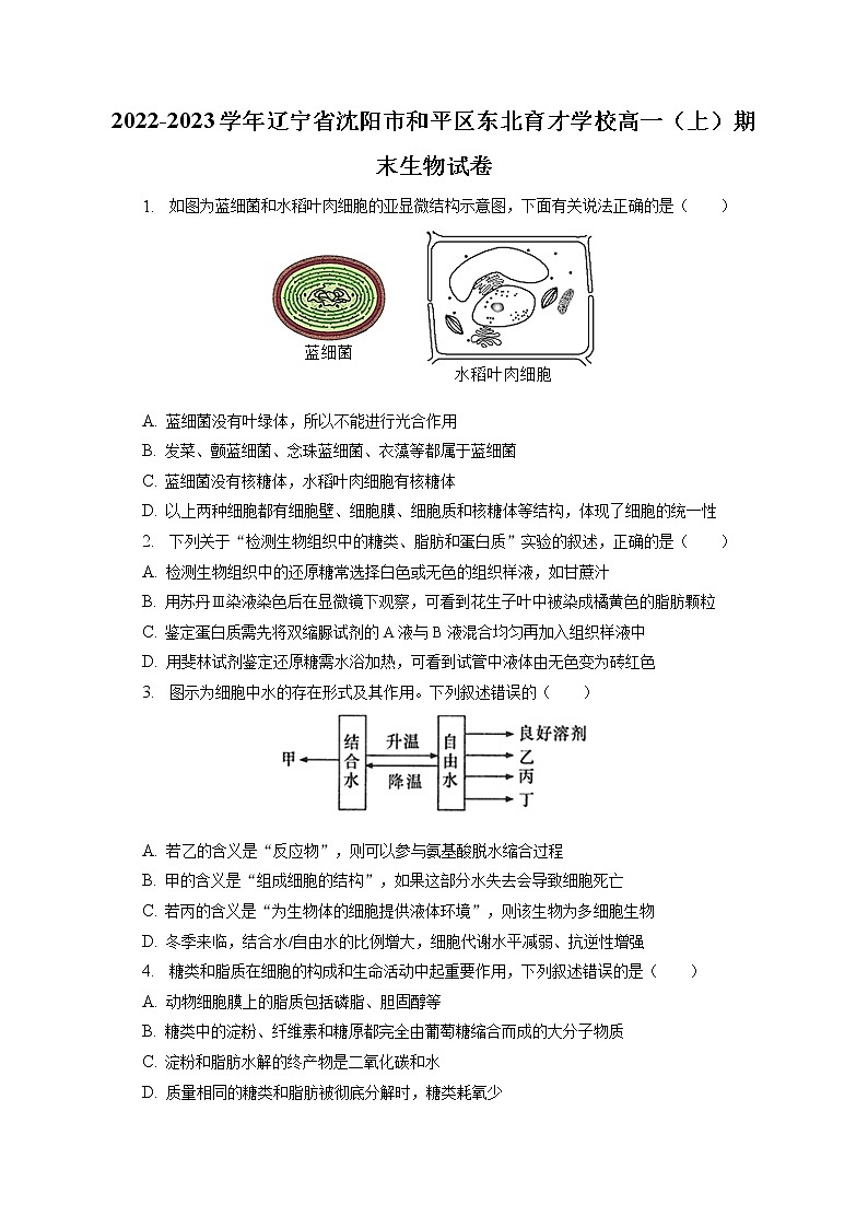 2022-2023学年辽宁省沈阳市和平区东北育才学校高一（上）期末生物试卷（含答案解析）01
